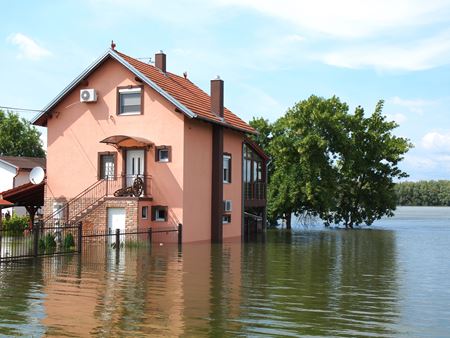Flooded Wiring